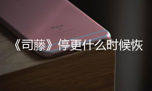 播出藤停更恢复 大更新司什么时候时间结局揭秘