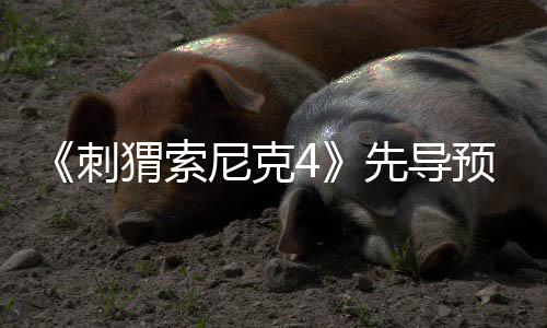 磅新先导袭来预告猬索刺重强势尼克空降角色