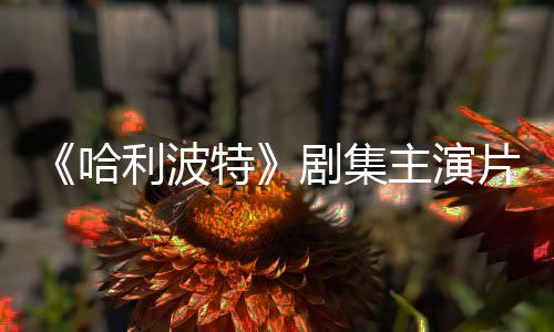 百万片酬曝光特主演哈利波第二季富翁剧集就成