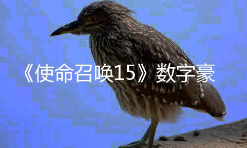 版上元命召唤1豪华使数字商城 售加强架X价9