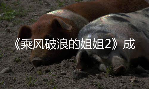员排团人乘成团成名单名浪的浪都有风破分别谁 姐姐姐2