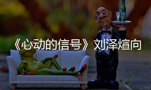 心信号向天煊ds向天歌么情泽煊刘刘泽况动的歌互撕 是什