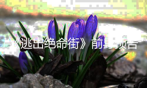演安妮逃出绝命街麦·海前雷主克格导预告 瑟薇