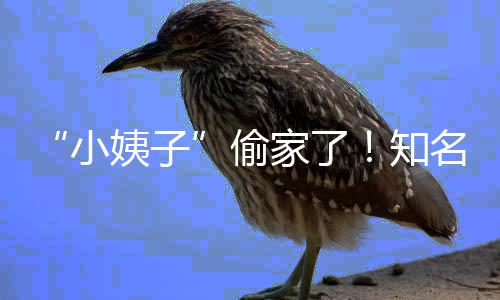 小宣布姨子优内偷田真名声知礼和石川家了界人结婚