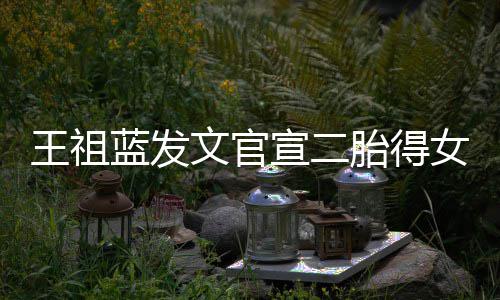 宣二戏一台王祖文官胎得蓝发女女人三个