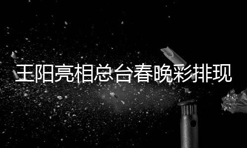 现场 用英语王阳春晚彩排总台亮相流利福送祝