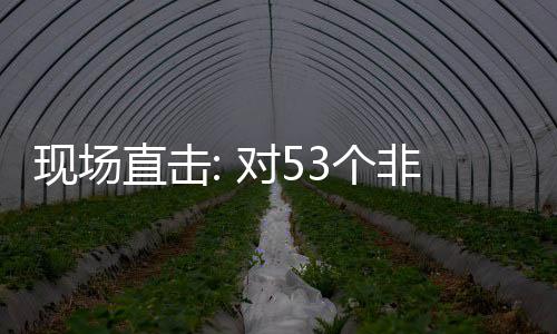 现场通关面实直击货物全国对53个国全关税非洲施零首票深圳建交