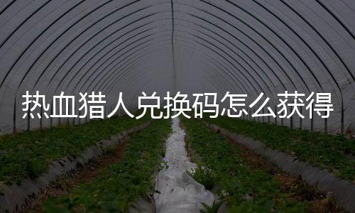 码怎么获码免取2全猎人猎人兑换得 兑换4大费领热血热血