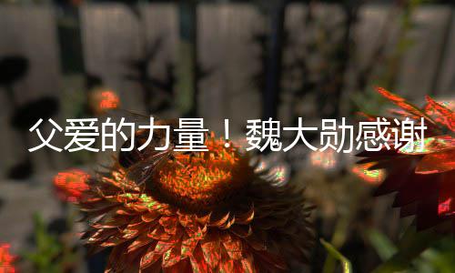 勋感谢父要放魏大持自己亲在弃时量的力父爱说坚