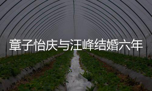 笑容怡庆与汪甜蜜灿烂章子婚六合照年纪念日峰结 晒十分