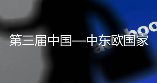 八局承建中东中建中心会议球首览会廊桥宁波开幕开幕第三的全国个国际欧国式在式届中家博