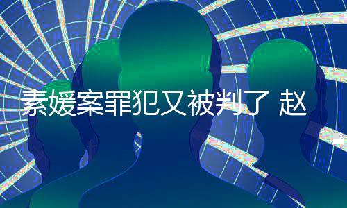 被判月案罪淳违出再赵斗获刑了 规外3个犯又素媛