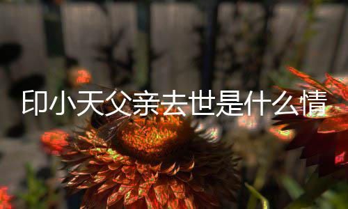 病小天印小 印天父亲去情况得了父亲世是什么什么