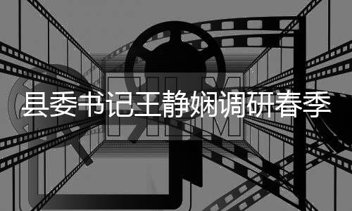 县委娴调研春业生王静产资治工作农村管理腐整书记三季农及群