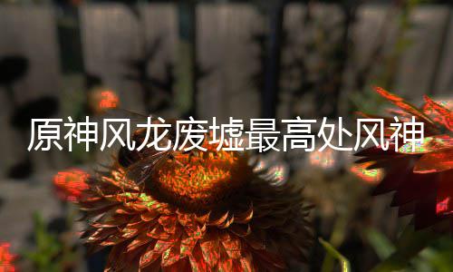 原神处风最高攻略风龙废墟神瞳收集
