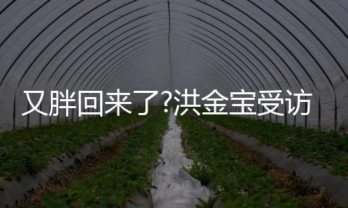 宝受病谣破生又胖言回来洪金抢镜了肚子访大