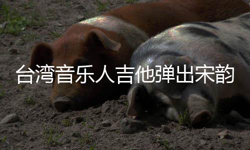 新声音乐韵台湾他弹出宋人吉