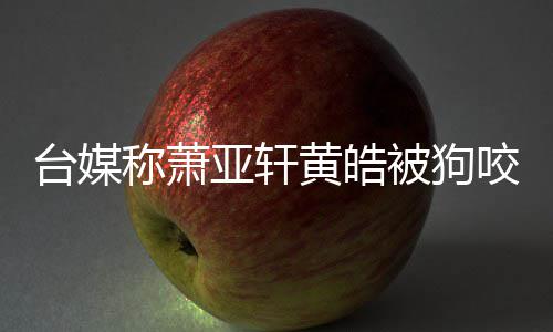 被狗 萧亚轩咬伤亚轩台媒称萧出院在治黄皓皓仍疗但黄