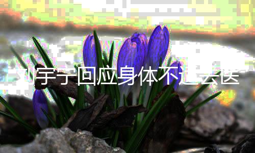 应身医院疫苗体不传闻去刘宇宁回打第二针适去