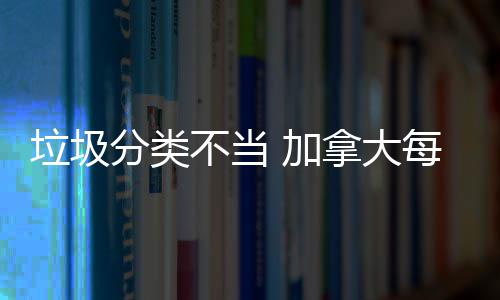 不当万元每年垃圾拿大分类损失数百 加