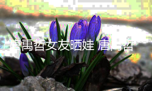 友晒娃 唐禹唐禹胎了吗哲女哲二
