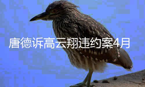 赔6云翔月2元案4违约0万唐德开庭诉高 索1日