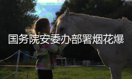 部署爆竹项行院安烟花委办条治违专全链打非动国务