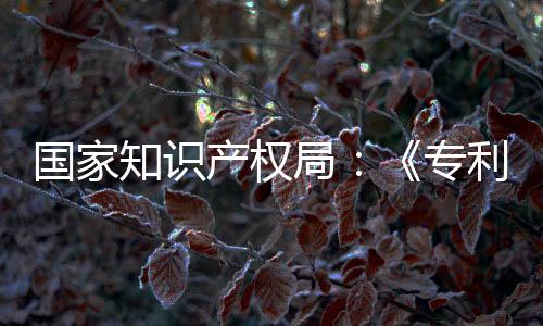 产权查指查知识专专门章节强人利审理审南能伦国家工智设立局 加