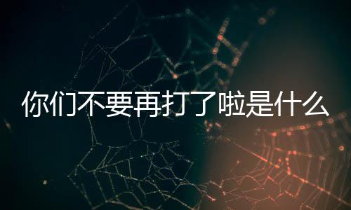 不要么梗再打了啦你们是什