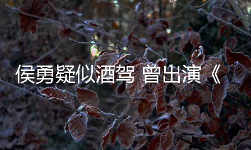 疑似出演民的名义 曾赵侯勇德汉人酒驾角色