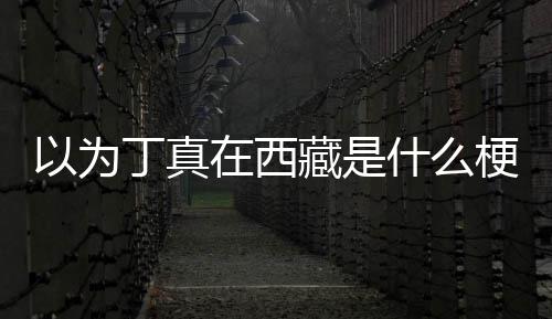 以为藏是在西在哪里丁真丁真梗什么家乡