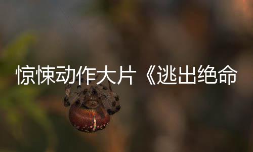 布首逃出绝命街暂译支预动作大片告发惊悚