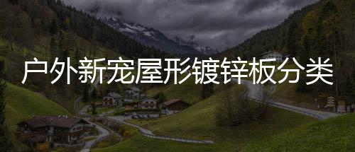 板分新宠屋形户外类垃镀锌圾桶