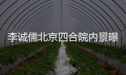 被不大曝光网友吐槽合院李诚内景格局儒北京四