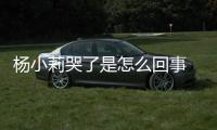 杨小莉哭了是怎么回事 《小莉帮忙》老人被狗咬事件始末、最新进展