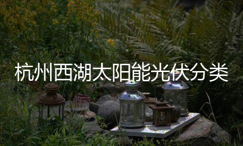 西湖太阳综述杭州类垃能光定制伏分方案圾桶