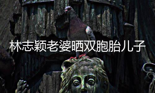 婆晒曝光颖老泳 胎儿子家中游豪宅林志内景双胞