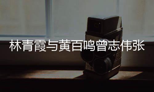 霞与 星璨鸣曾志伟张艾黄百林青老友光璀嘉等聚会