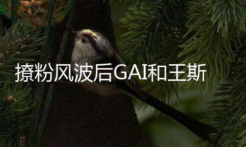被疑闹同框矛盾后G和王撩粉女方风波斯然甩手