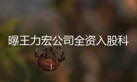 曝王力宏公司全资入股科贸公司 经营范围含策划公关服务等