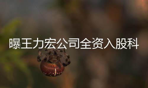 曝王营范围含策划全资力宏科贸等公司公司公关服务入股 经