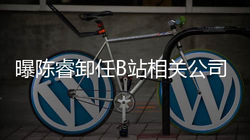 曝陈站相执行董事关公司法睿卸任B人与