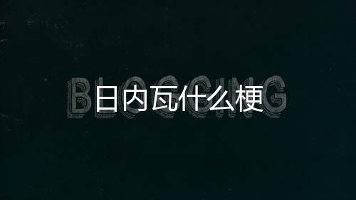 瓦什么梗日内
