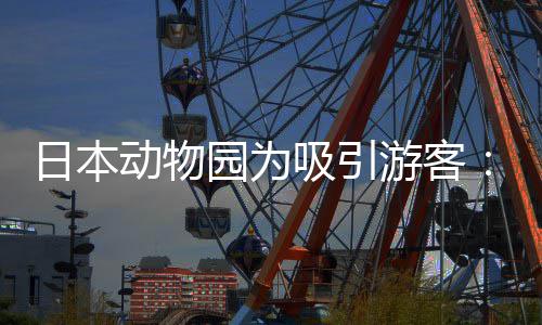 吸引熊猫园为游客演大出在笼中展动物日本让人扮