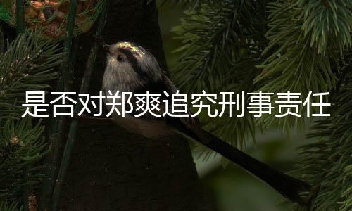 回应对郑官方是否爽追事责任究刑