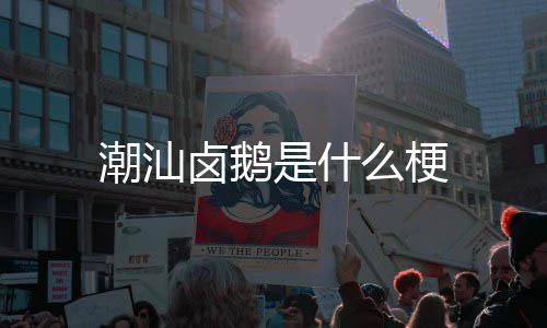 潮汕么梗卤鹅是什
