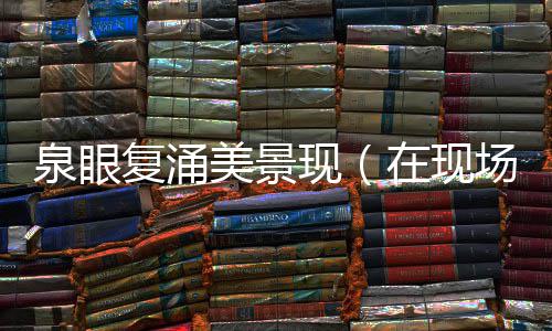 现场美景在现泉眼复涌