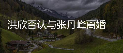 辟谣与张一家洪欣合照婚变离婚丹峰否认 晒三口