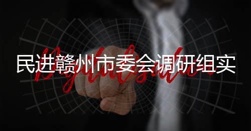 项目研组餐厨民进会调调研赣州赣州市委实地