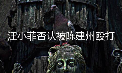 向黑汪小陈建州殴打 道歉菲否发文认被人陈建州